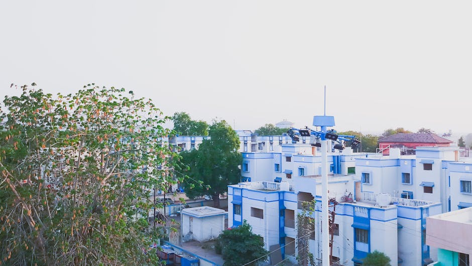 cover-image-277382 Widok na osiedle mieszkaniowe z zielonymi drzewami w tle, z białymi budynkami z niebieskimi akcentami. Na pierwszym planie widać roślinność, a w tle zabudowa miejska.